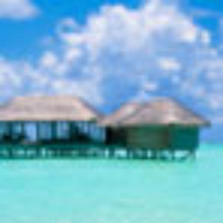 Dynasty Chinese Restaurant